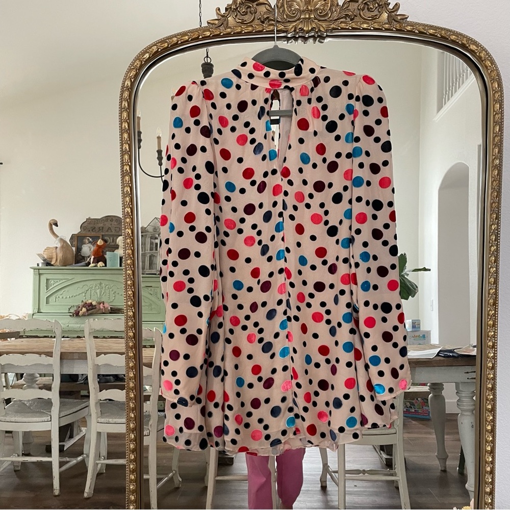 Saloni Mini Dress - Picture 4 of 9